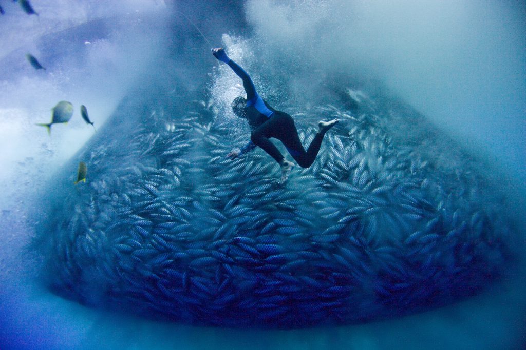 Philippine Purse Seine Fishing Operation