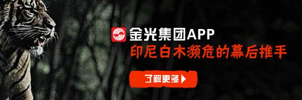 保护森林, 印尼白木, 印尼原始森林, 绿色和平, 热带原始森林,天堂雨林,生态林业,森林保护,森林覆盖率