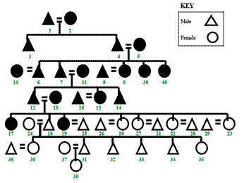 Awane clan genealogy plan