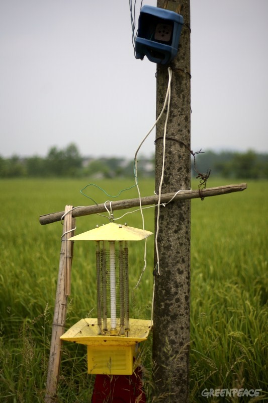 04-诱虫灯是有效的物理防治稻田病虫害的方法。