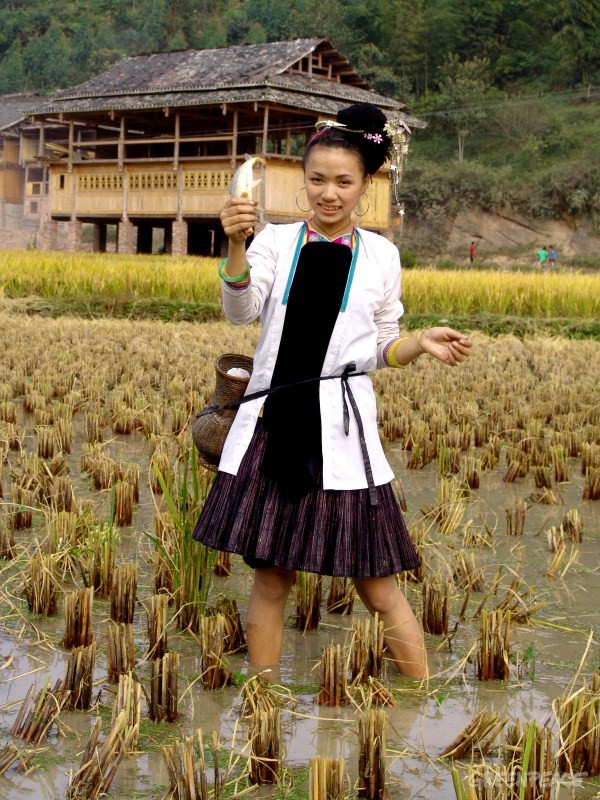 09-稻鱼共生是中国典型的生态农业生产方式。