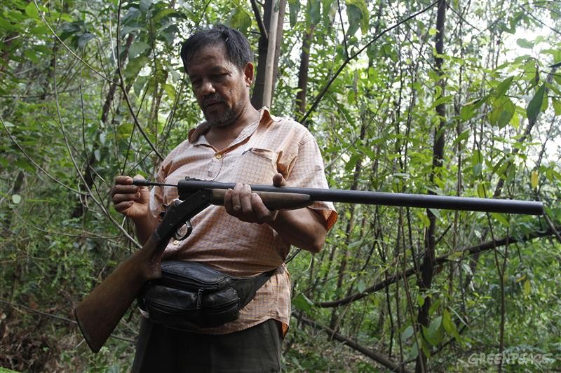 04-印尼森林管理员试图解救受困的苏门答腊虎