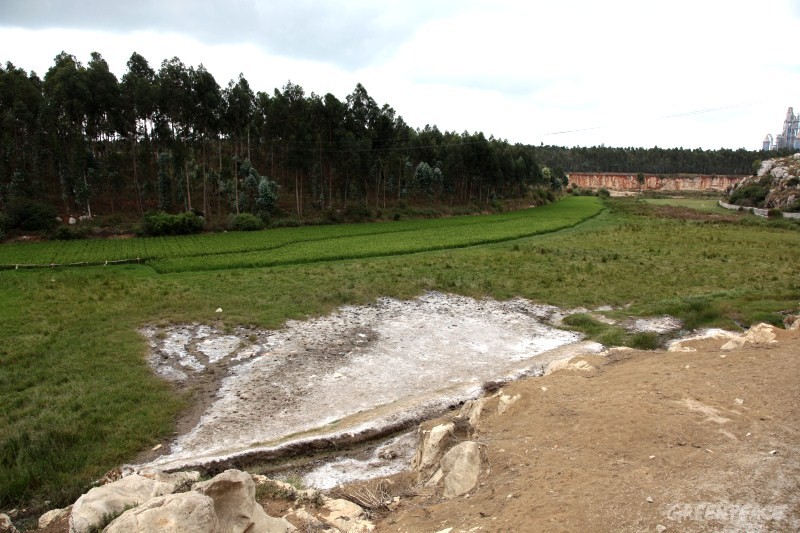 04-兴隆村的水稻田由于工厂的铬渣渗透污染而稻田荒废。