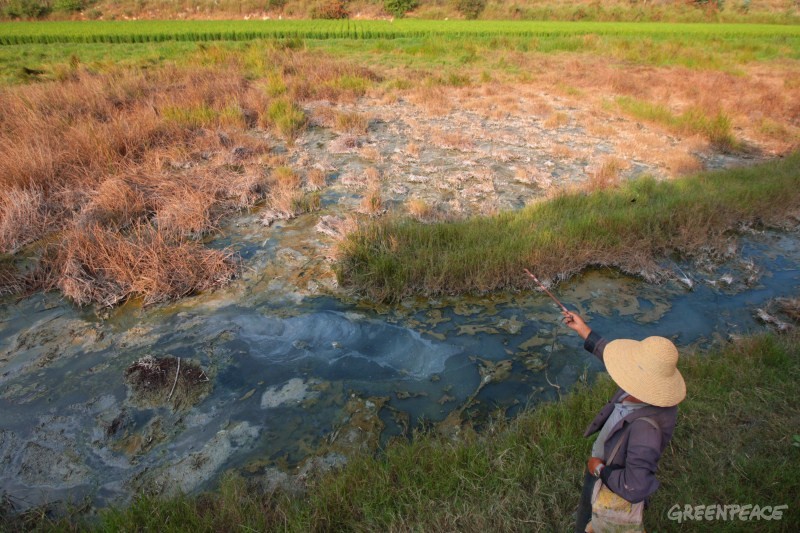 16-“龙潭”地区的水已受到污染，原来的水稻田现已经抛荒。