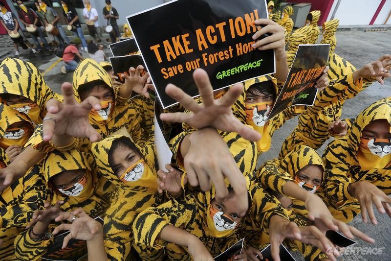 菲律宾奎松，绿色和平志愿者们以“快闪舞蹈”形式向世人发出拯救森林的呼吁