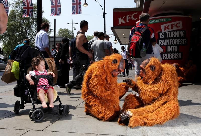 英国志愿者们装扮成红猩猩，带着巨大的肯德基全家桶包装来到肯德基店前