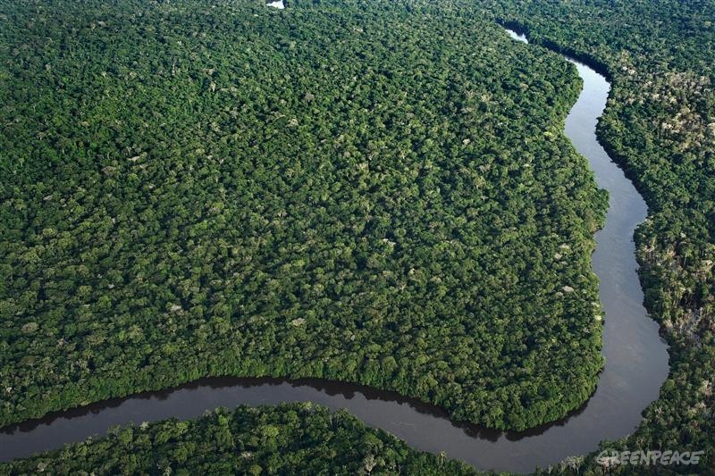 02-森林对亚马逊流域至关重要。