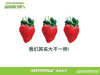 2009 food ranking,绿色和平,环保成就,环境保护,环保NGO,环保知识,环保行动,公益环保,环保地球,环境污染