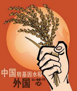 2009 ge-patent,绿色和平,环保成就,环境保护,环保NGO,环保知识,环保行动,公益环保,环保地球,环境

污染