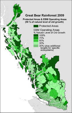 2009 great bear forest,绿色和平,环保成就,环境保护,环保NGO,环保知识,环保行动,公益环保,环保地球,环境污染