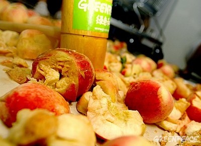 2009 peach ,绿色和平,环保成就,环境保护,环保NGO,环保知识,环保行动,公益环保,环保地球,环

境污染