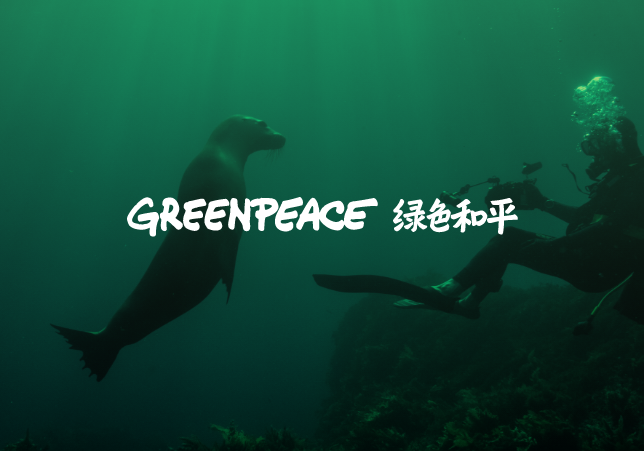 绿色和平找到并将密切追踪日本捕鲸船