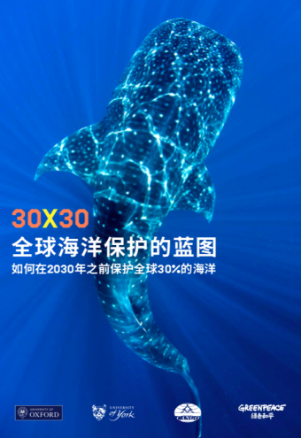 《30X30全球海洋保护的蓝图：如何在2030年之前保护全球30%的海洋》