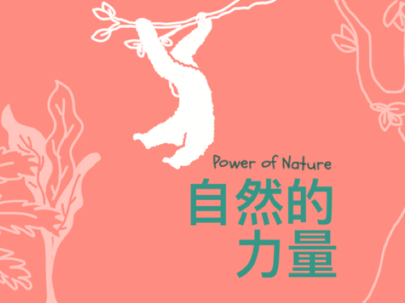 自然的力量 | 云南篇：树冠上的歌唱家