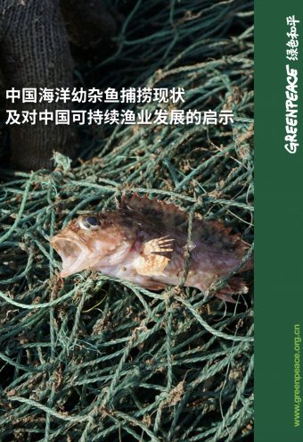 《中国海洋幼杂鱼捕捞现状及对中国可持续渔业发展的启示》