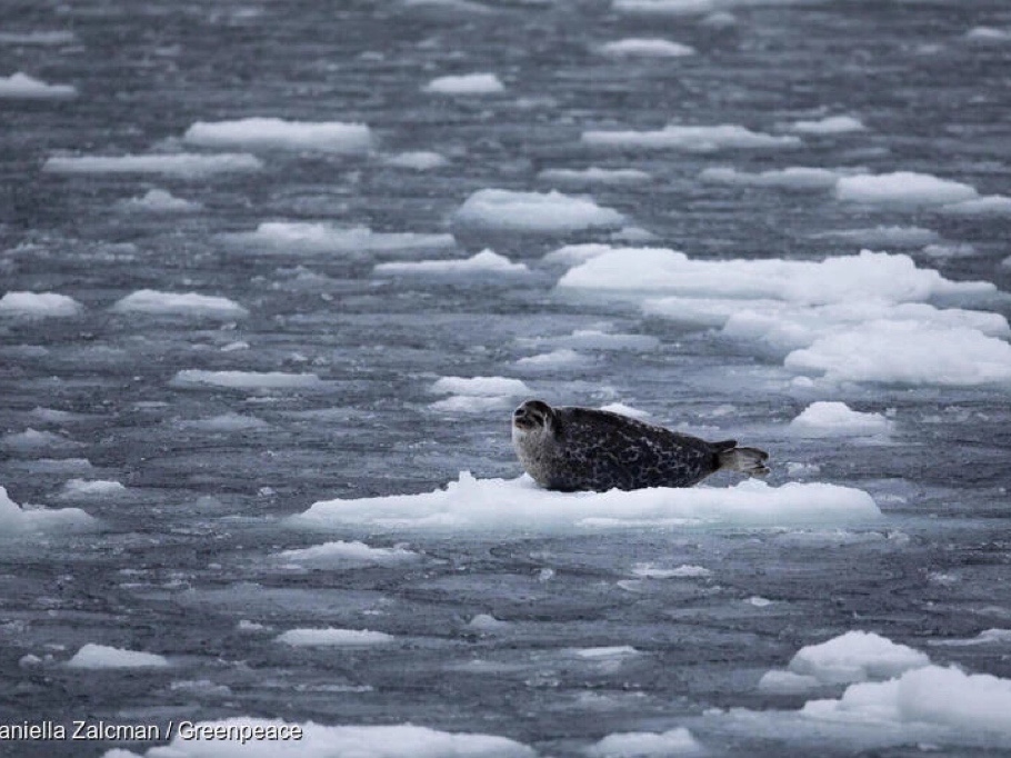 北极海冰范围达到史上第二低值，总体积已消失2/3