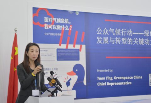 埃及在现场 | 绿色和平中国总负责人袁瑛接受媒体专访