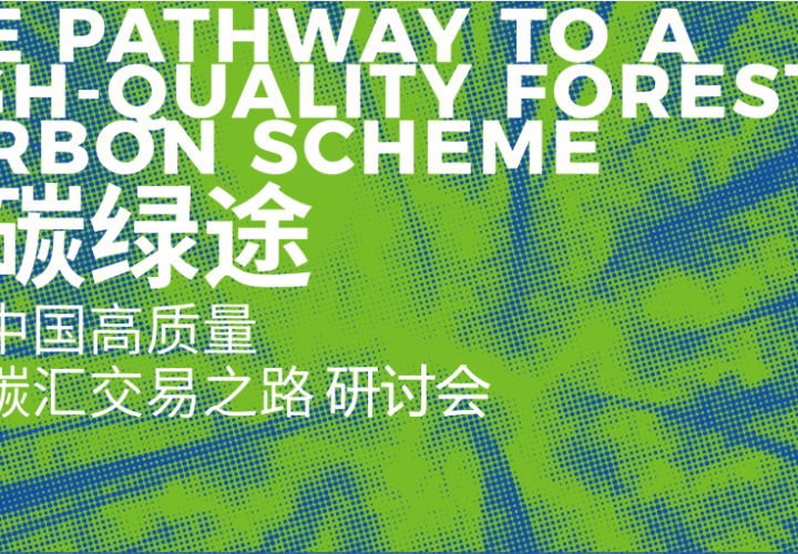 减碳绿途，通向中国高质量林业碳汇交易之路｜会议回顾