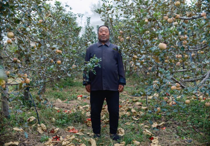 Tianyu2FM X 绿色和平｜极端天气面前，人类社会有多脆弱？聊聊气候变化与农业