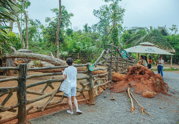 在椰林海岛，我们来聊聊气候危机、极端台风和动植物园灾后重建