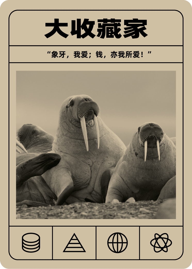 大收藏家