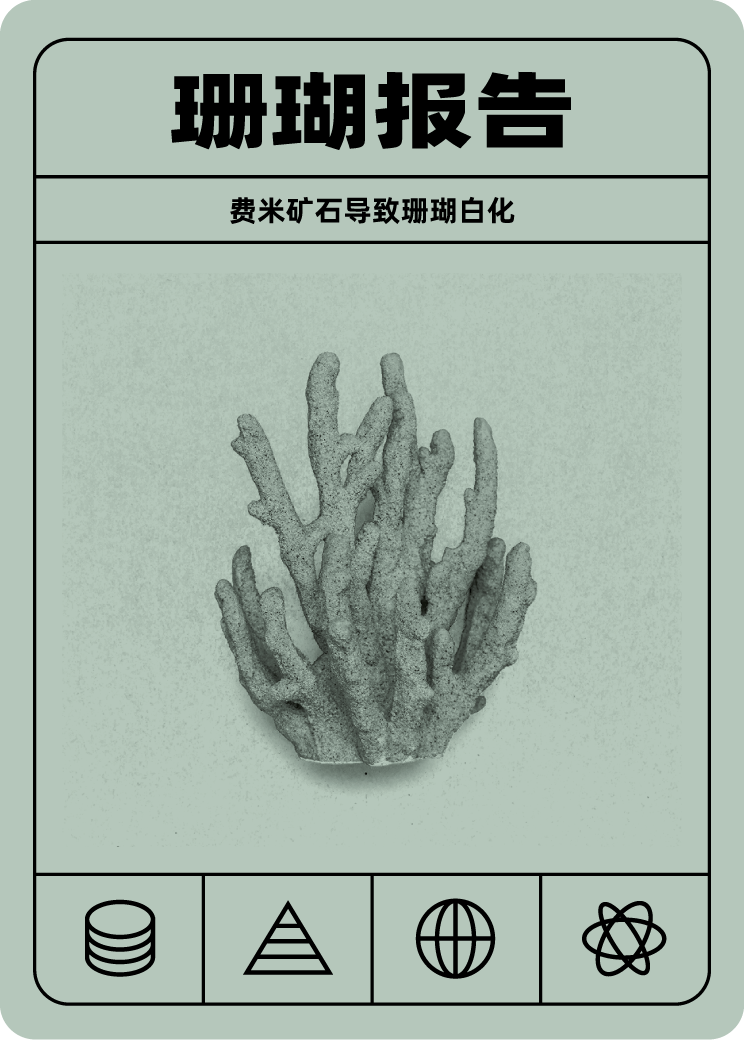 珊瑚报告