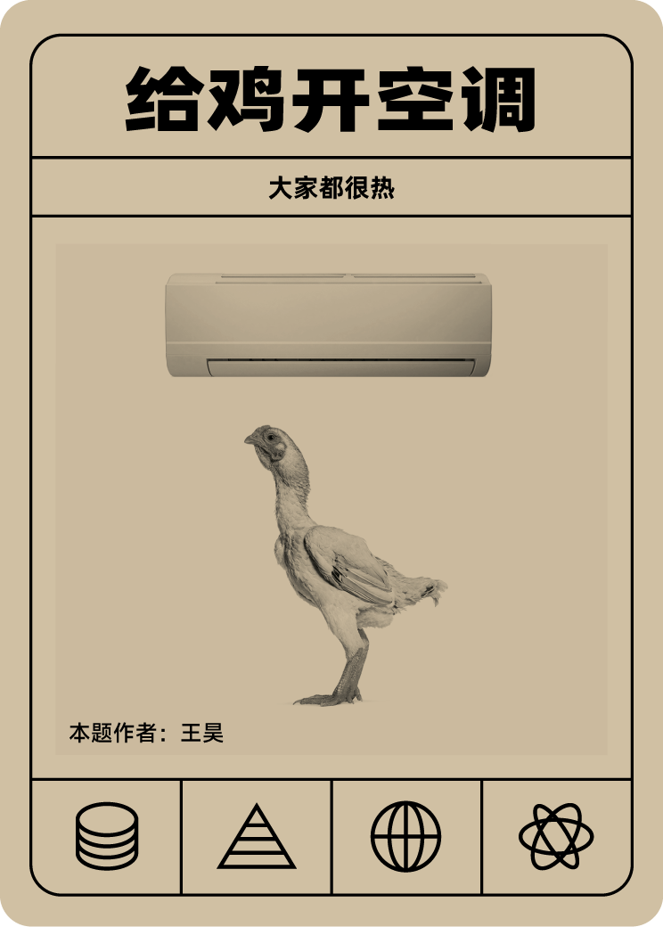 给鸡开空调