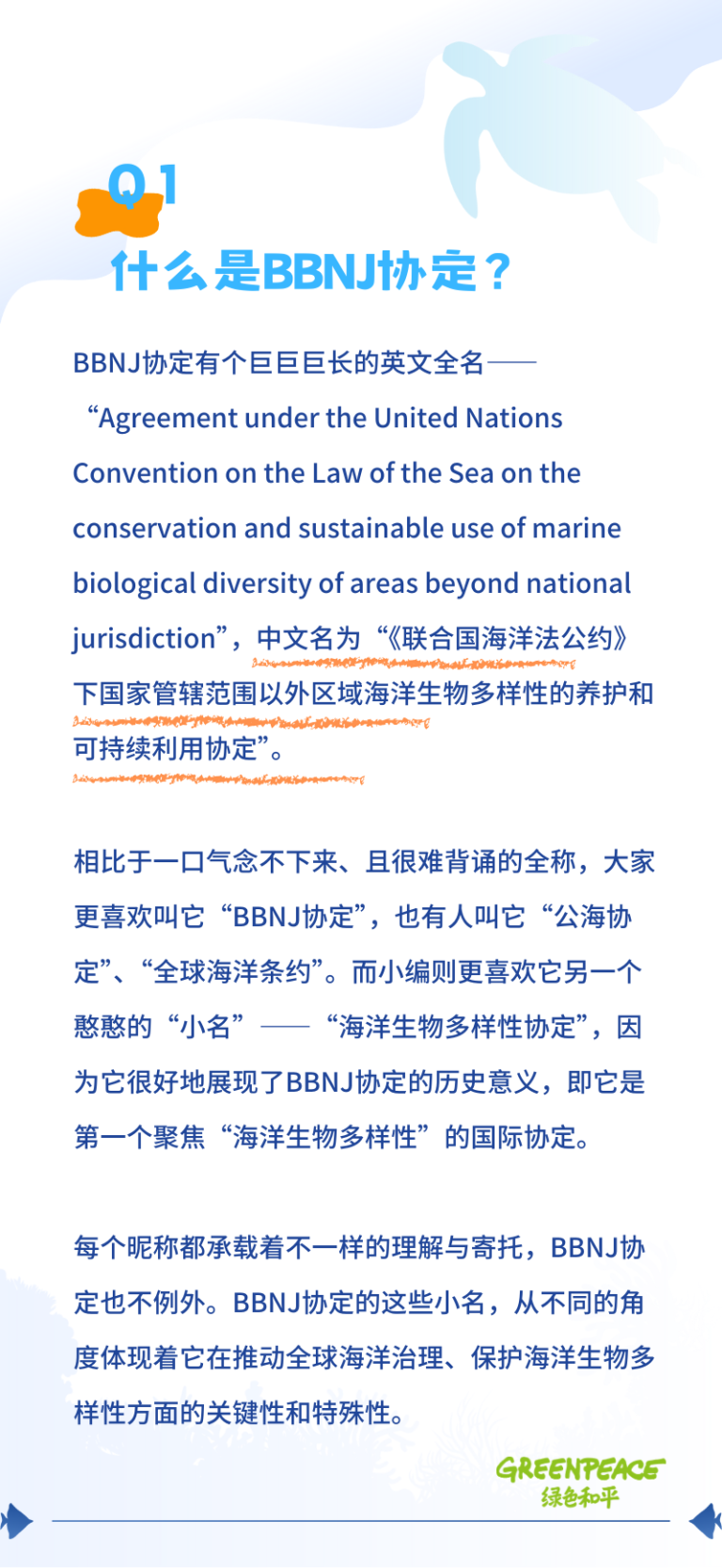 BBNJ协定已达到生效门槛，全球海洋保护即将开启新征程 - 绿色和平