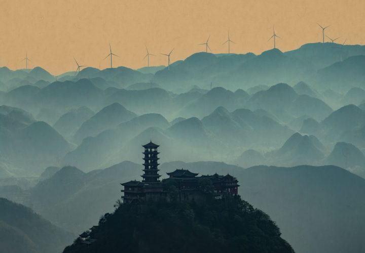 主题基础，影像就不基础 | 《绿色未来》摄影展预告