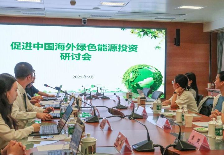 破解海外绿能投资困局：路径、工具与未来｜会议回顾