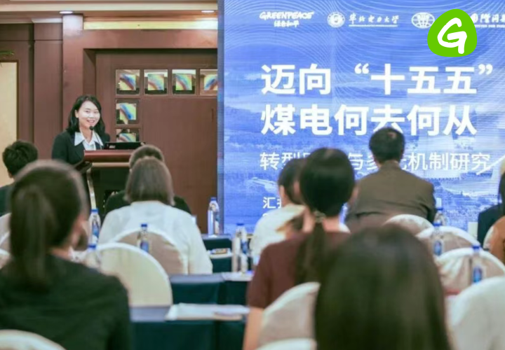 可再生能源时代如何重塑“十五五”电力图景？| 专家观点汇总