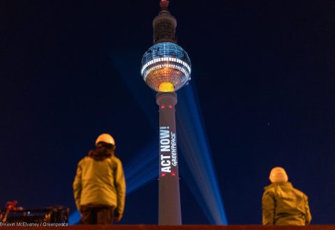 气候大会前瞻：特朗普搅局，全球低碳转型势头如何稳住？