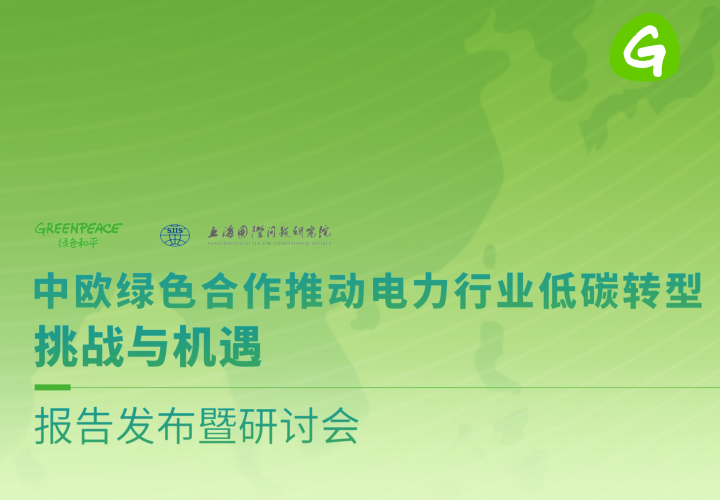 电力低碳转型正当时，中欧如何携手破局？｜专家观点汇总