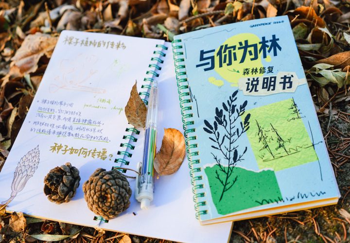 如何“修理”森林？这本“说明书”供你参考