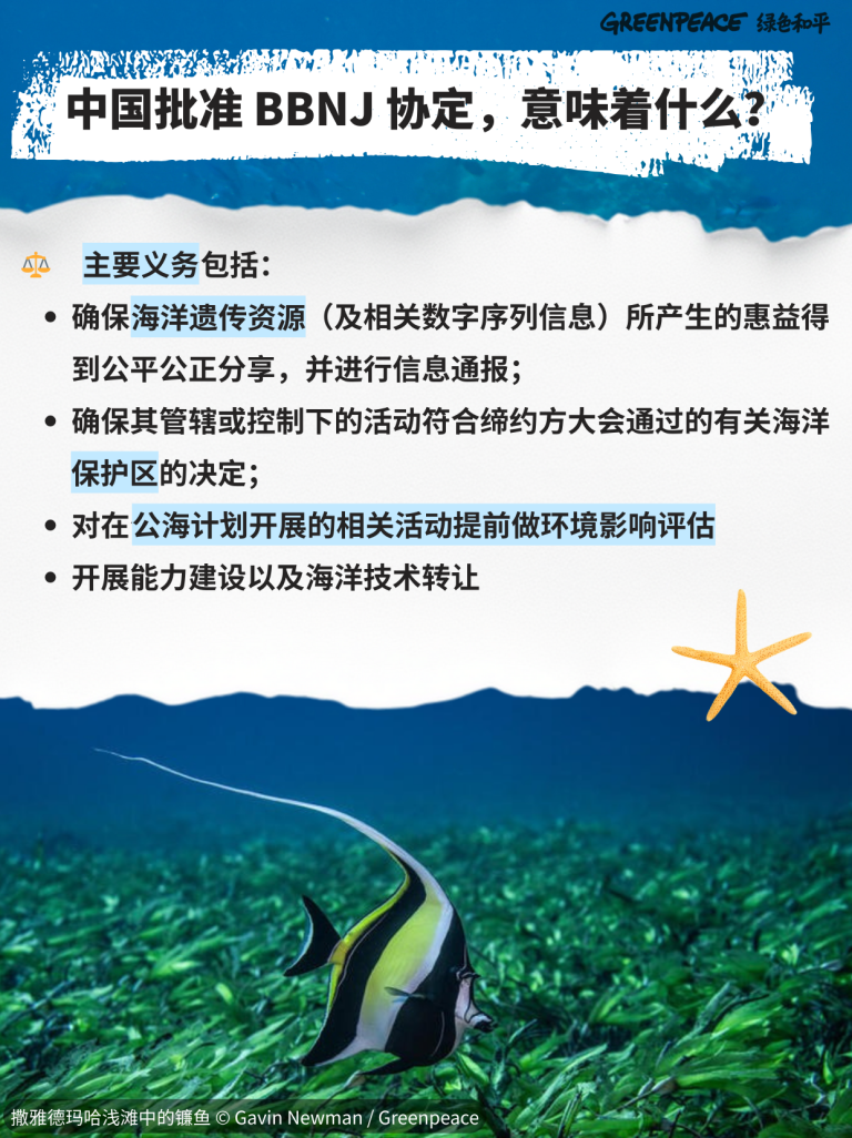 海洋保护的里程碑：中国批准BBNJ协定 - 绿色和平