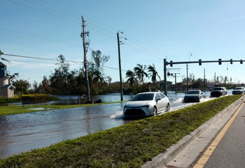 欧盟燃油车禁令 “松绑” 不改转型大局