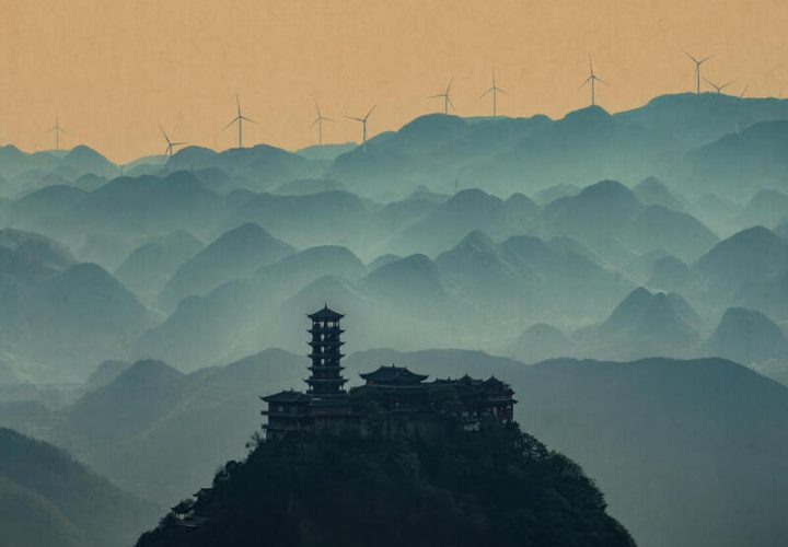 韧意生声，向绿而行 | 绿色和平2025年度盘点