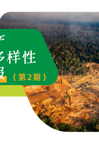 联合国讨论转型矿产环境影响；印尼森林执法行动持续升级 | 转型矿产与生物多样性合规简报第二期