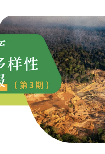伦敦气候周，转型矿产成为最炙手可热的话题｜转型矿产与生物多样性合规简报