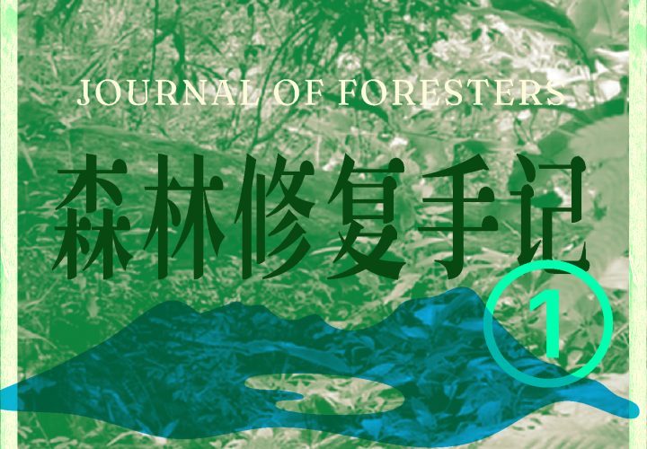 我和亚洲象的三十六年｜森林修复手记