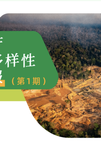 印尼镍矿收紧；亚马孙雨林采矿升温｜转型矿产与生物多样性合规简报第一期